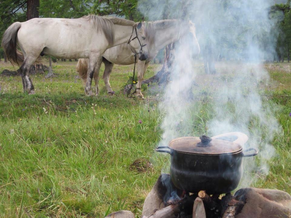 Bivouac cuisine